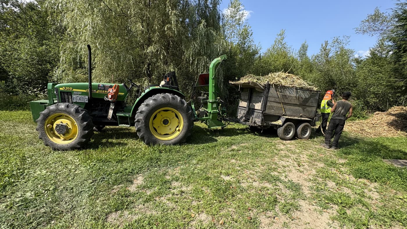 Déboisement et abattage d'arbres clé en main à Sherbrooke