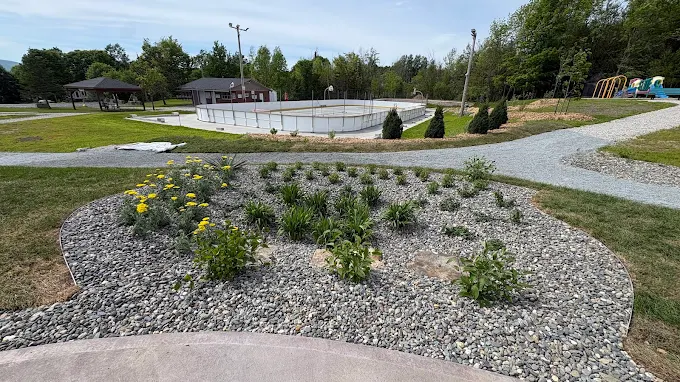 Plantation d'arbres, arbustes et vivaces à Sherbrooke